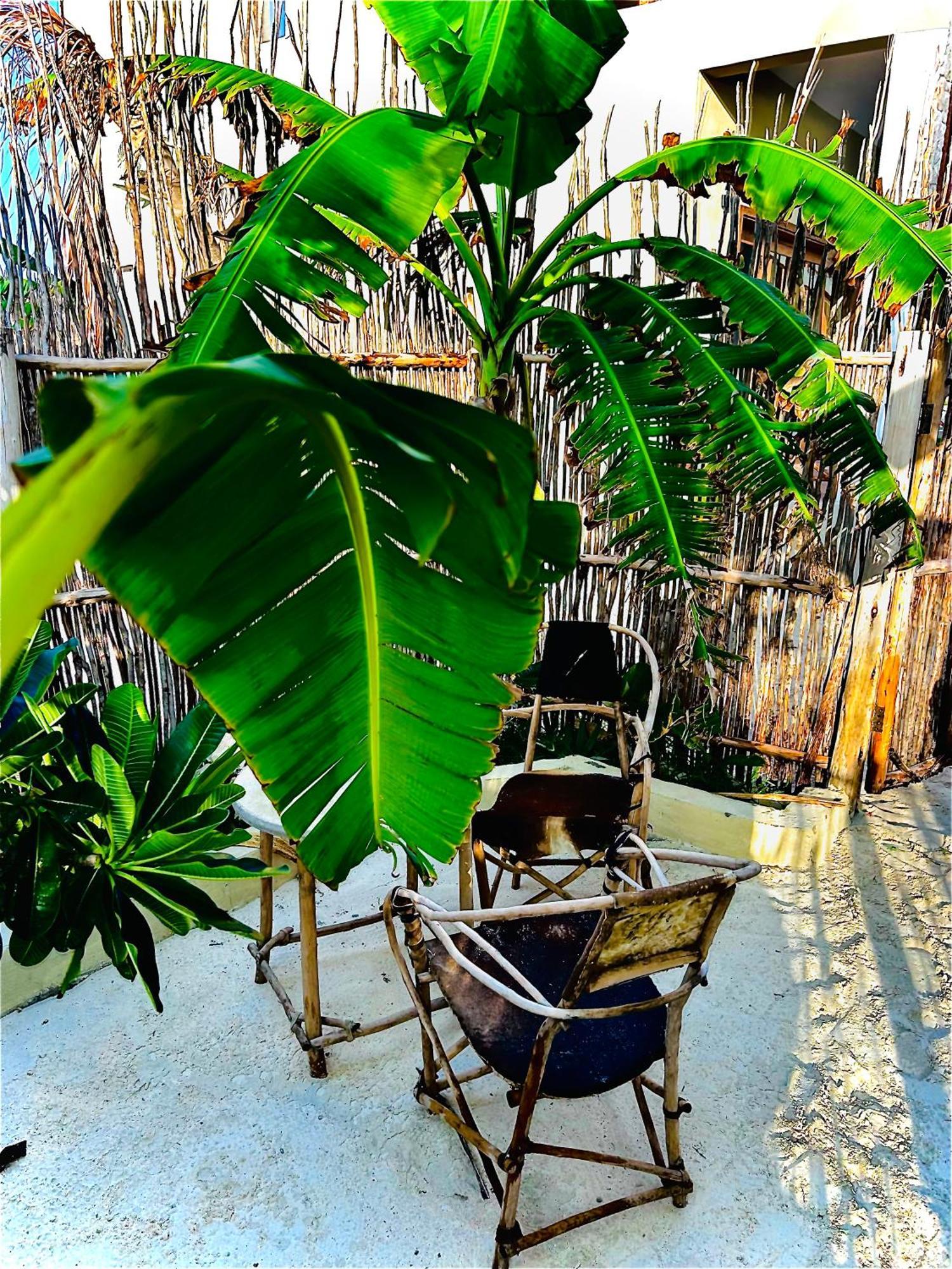 Zanzi Soul Luxury Boutique Hotel Jambiani  Exterior foto